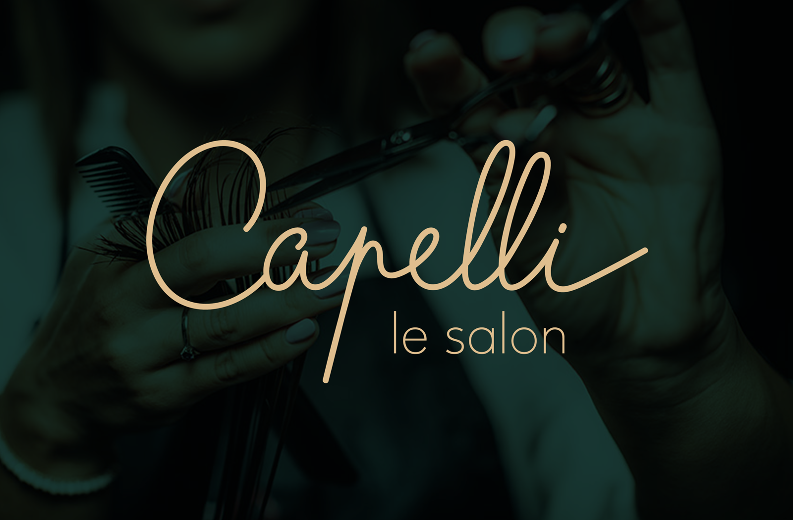 Présentation du projet du Capelli le Salon