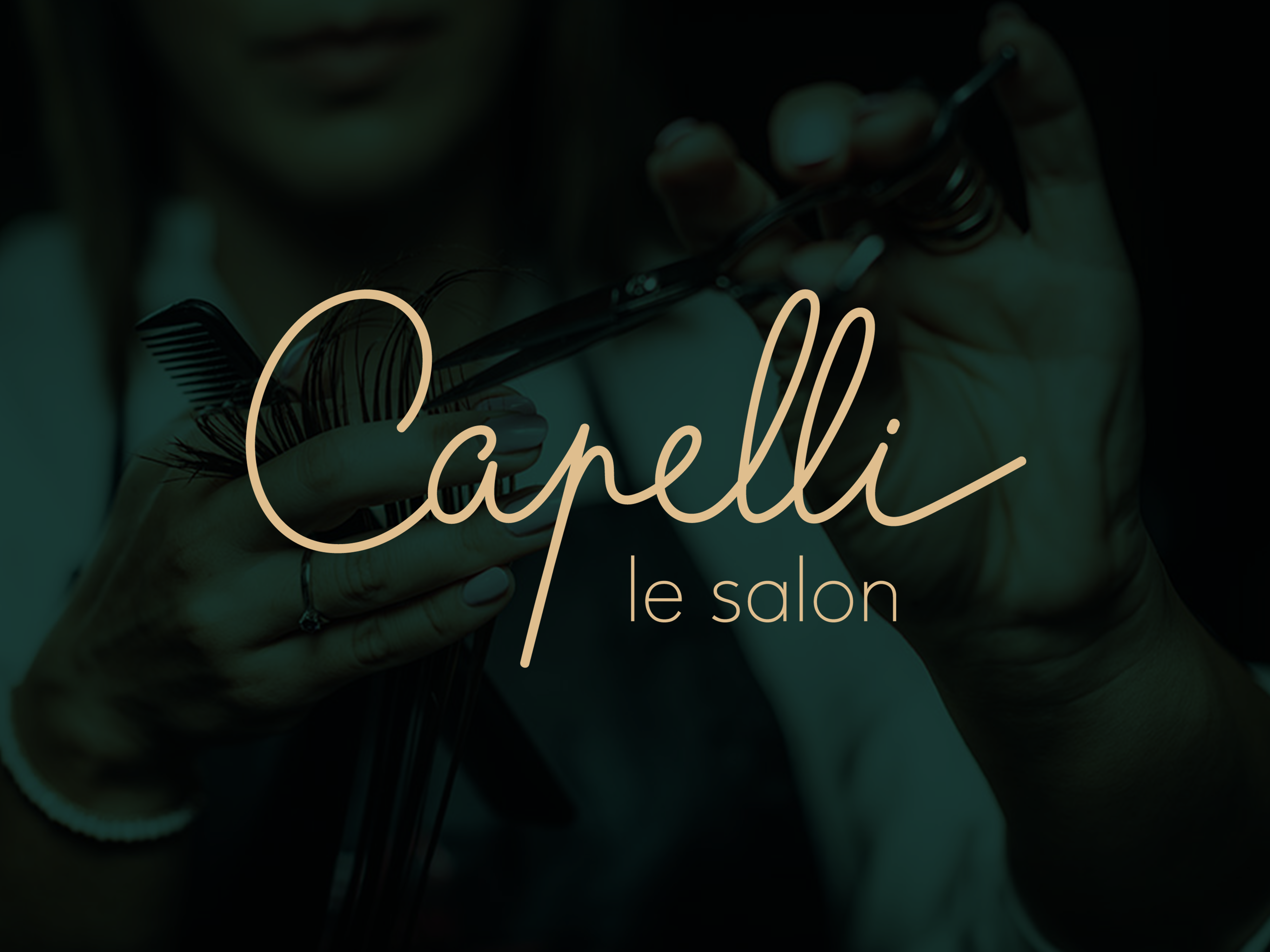 Logo salon coiffure